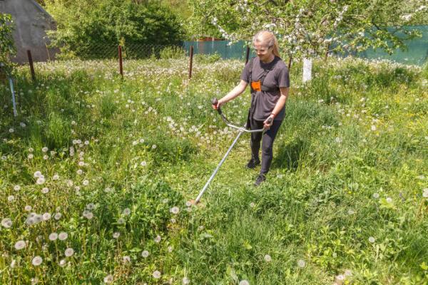 choisir coupe bordures densite herbes