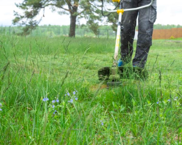 choisir son coupe bordures taille du jardin