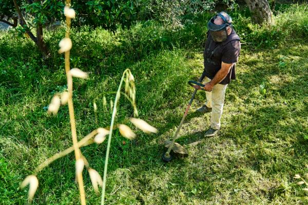 types de débroussailleuses adaptés pour la taille des ronces