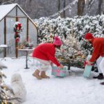 idées cadeaux jardinage