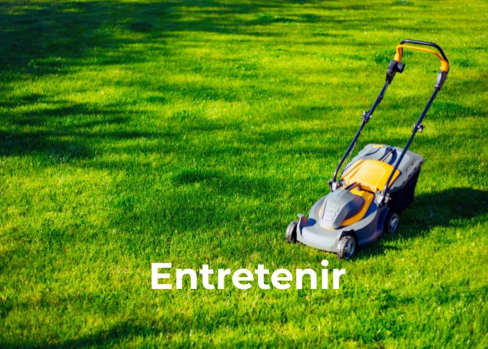 bien entretenir ses outils à moteur pour le jardin