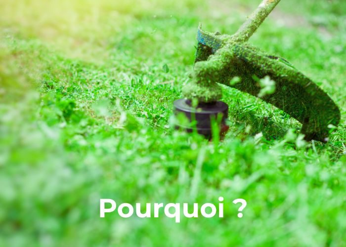 pourquoi choisir un équipement motorisé pour votre jardin