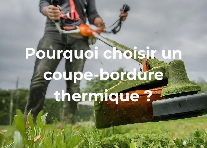 coupe bordure thermique pour entretenir un grand jardin