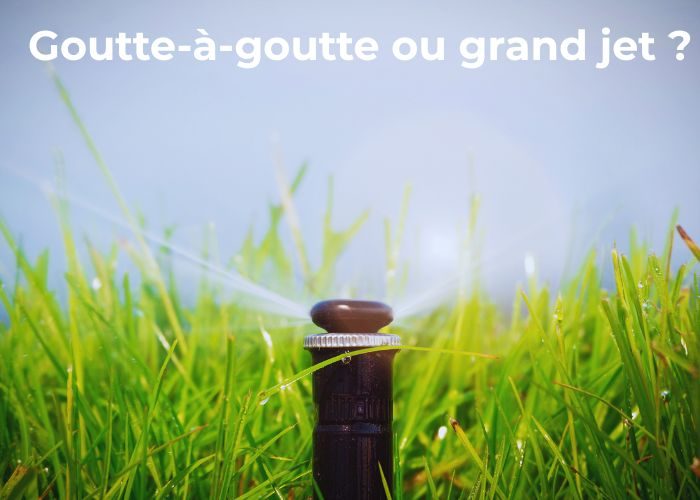 arrosage automatique goutte à goutte ou grand jet