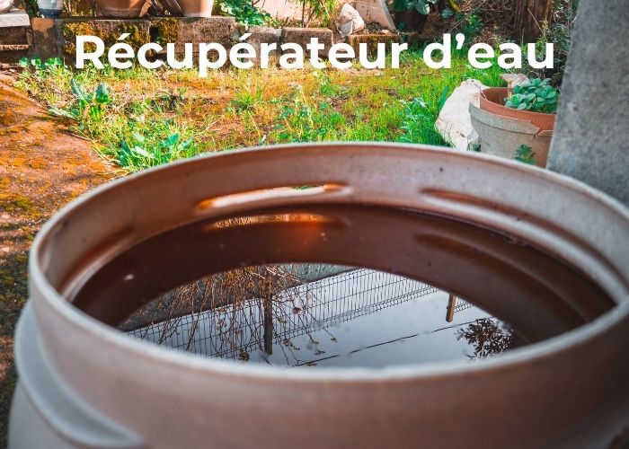 aménagement petit jardin récupérateur d'eau