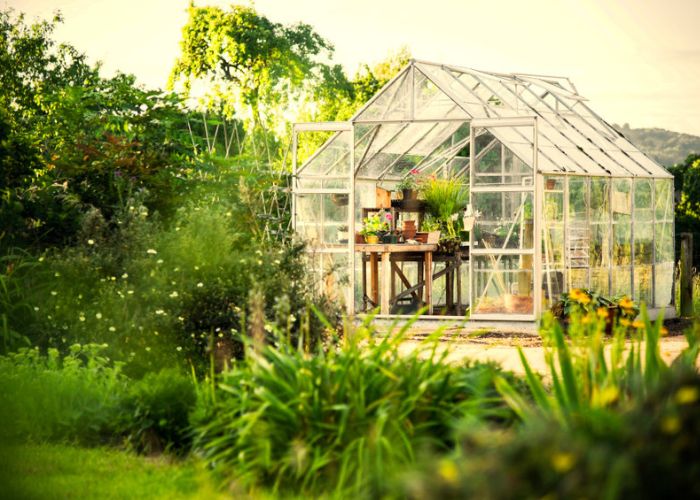 protection d une serre tunnel pour son jardin