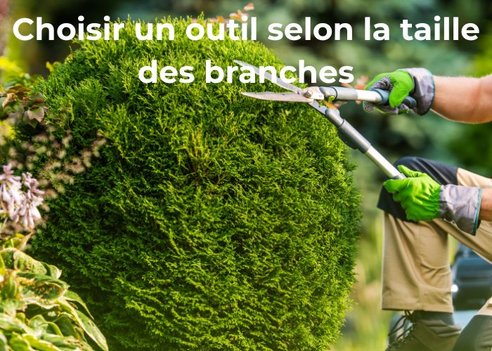 choisir un outil selon la taille des branches