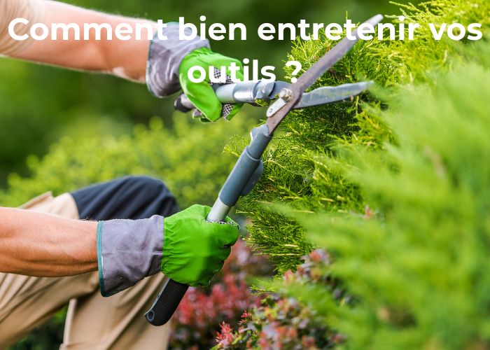 comment bien entretenir vos outils de jardinage de coupe