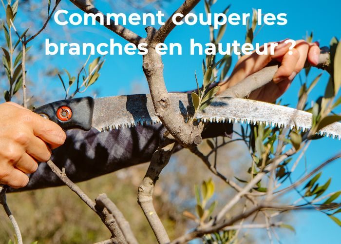comment couper les branches en hauteur