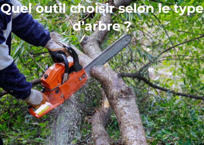 quel outil choisir selon le type d’arbre
