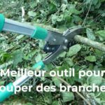 quel est le meilleur outil pour couper des branches selon la taille et le type d'arbre ou d'arbuste