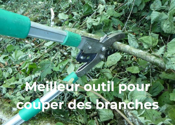 quel est le meilleur outil pour couper des branches selon la taille et le type d'arbre ou d'arbuste