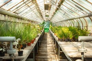 comment choisir une serre de jardin