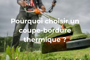 coupe bordure thermique pour entretenir un grand jardin