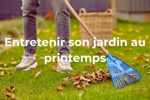 entretien du jardin au printemps