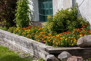 quelle bordure de jardin pour retenir la terre