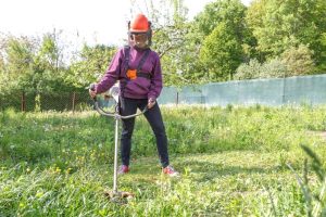 quelle débroussailleuse choisir pour les ronces