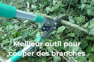 quel est le meilleur outil pour couper des branches selon la taille et le type d'arbre ou d'arbuste